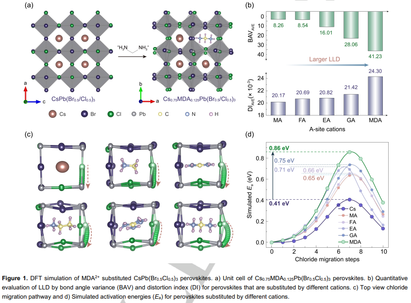 Angew：Manipulating Local Lattice Distortion for Spectrally Stable and Efficient Mixed-halide Blue Perovskite LEDs